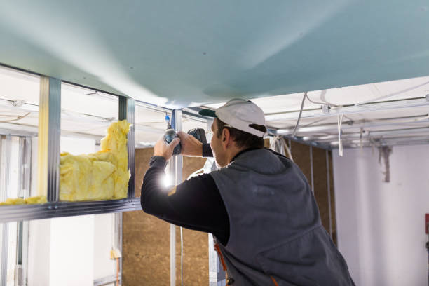 Best Specialized Insulation Services in Grayvle, IL