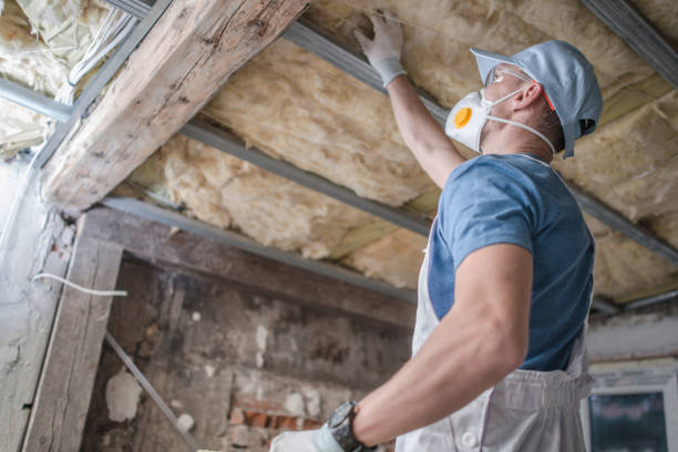 Best Residential Insulation in Grayvle, IL