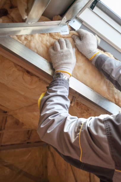 Best Cellulose Insulation in Grayvle, IL